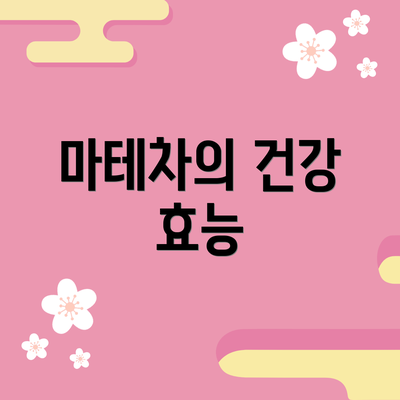 마테차의 건강 효능