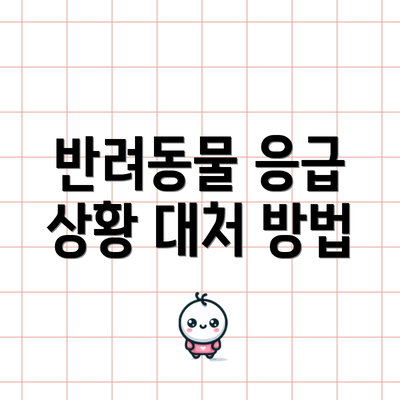 반려동물 응급 상황 대처 방법
