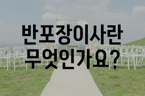반포장이사란 무엇인가요?