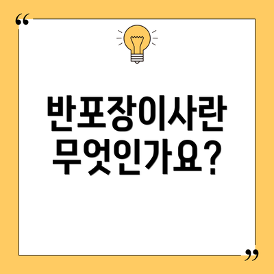 반포장이사란 무엇인가요?