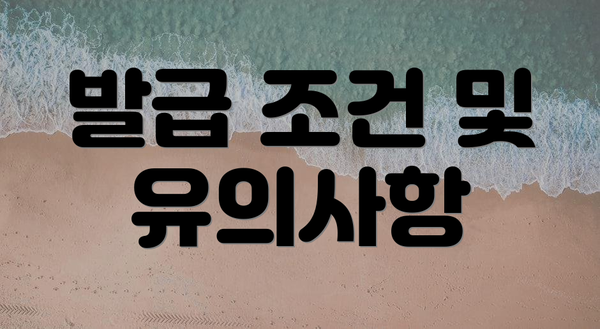 발급 조건 및 유의사항