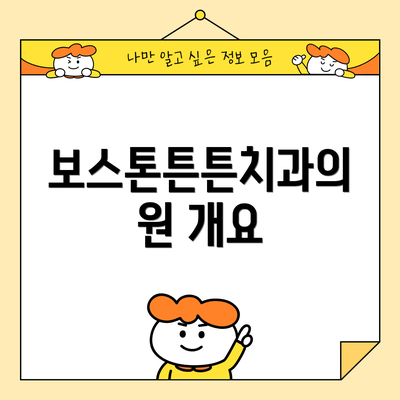 보스톤튼튼치과의원 개요