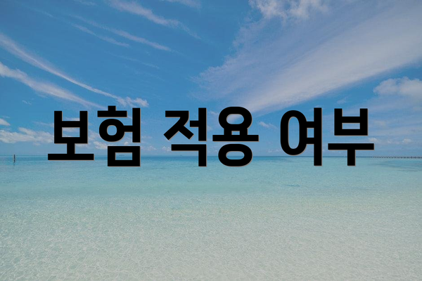 보험 적용 여부