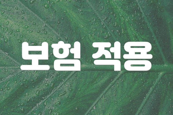 보험 적용