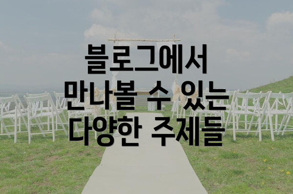 블로그에서 만나볼 수 있는 다양한 주제들