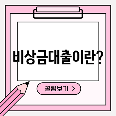 비상금대출이란?
