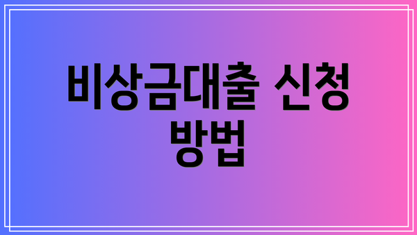 비상금대출 신청 방법