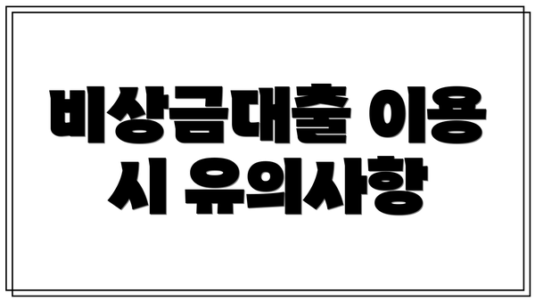 비상금대출 이용 시 유의사항