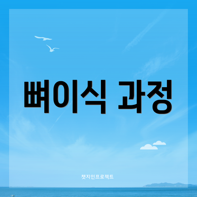 뼈이식 과정