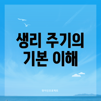 생리 주기의 기본 이해