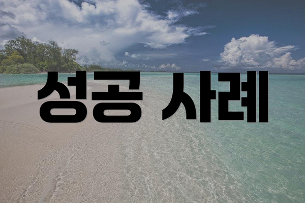 성공 사례
