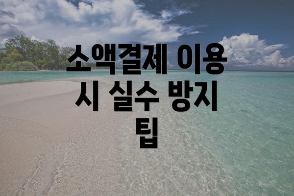 소액결제 이용 시 실수 방지 팁