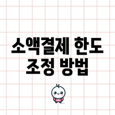 소액결제 한도 조정 방법