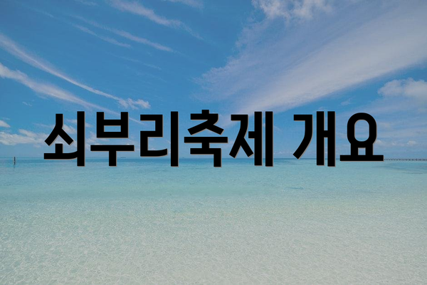 쇠부리축제 개요