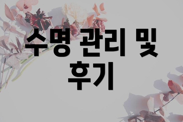 수명 관리 및 후기