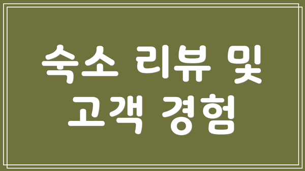 숙소 리뷰 및 고객 경험