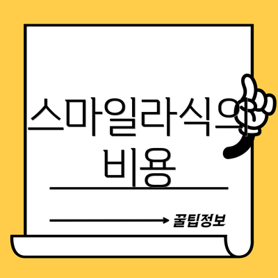 스마일라식의 비용