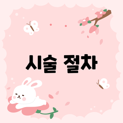 시술 절차