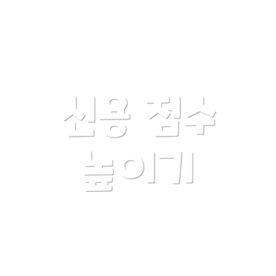 신용 점수 높이기