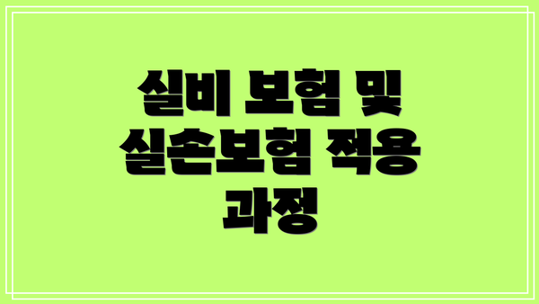 실비 보험 및 실손보험 적용 과정
