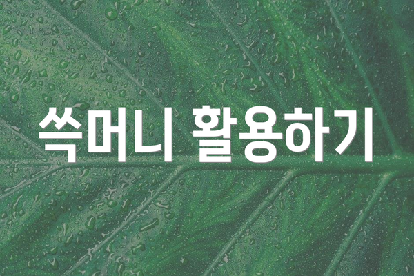 쓱머니 활용하기