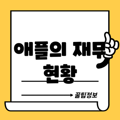 애플의 재무 현황