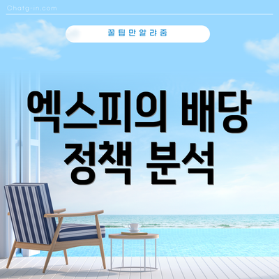 엑스피의 배당 정책 분석