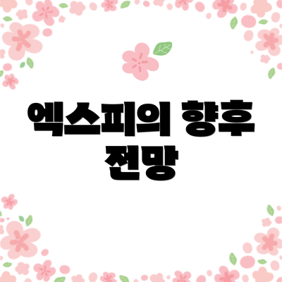 엑스피의 향후 전망