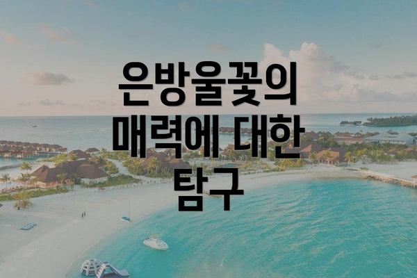 은방울꽃의 매력에 대한 탐구