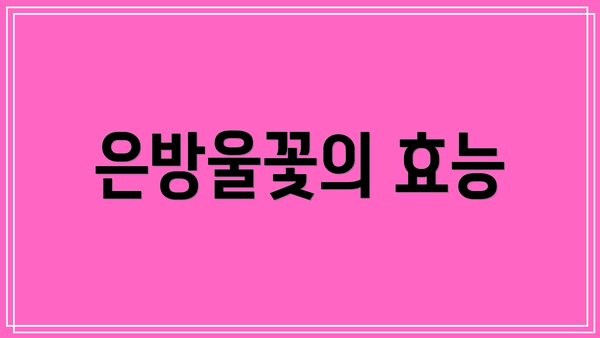 은방울꽃의 효능