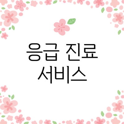 응급 진료 서비스