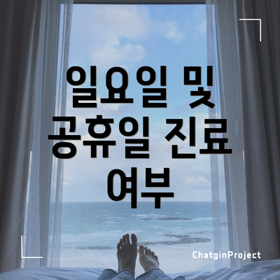 일요일 및 공휴일 진료 여부