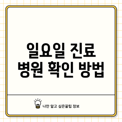 일요일 진료 병원 확인 방법