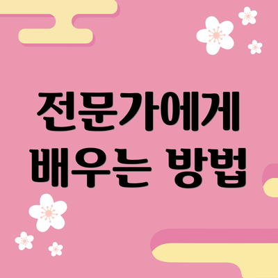전문가에게 배우는 방법