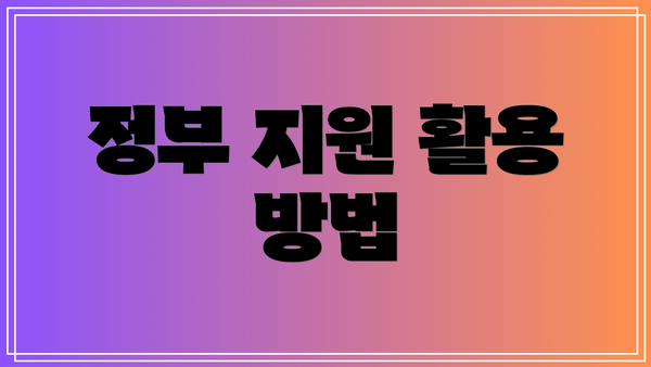 정부 지원 활용 방법