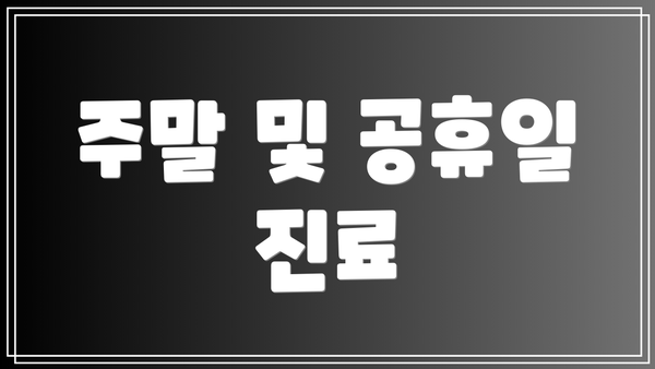 주말 및 공휴일 진료