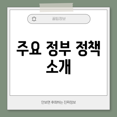 주요 정부 정책 소개