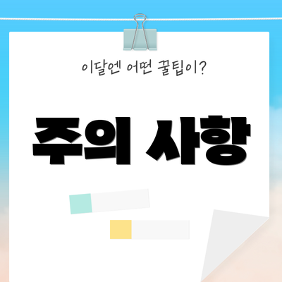 주의 사항