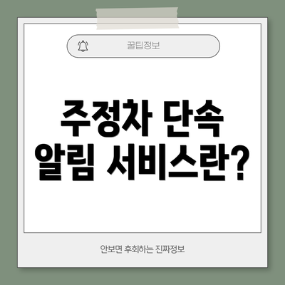 주정차 단속 알림 서비스란?