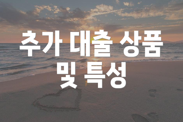 추가 대출 상품 및 특성