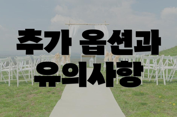 추가 옵션과 유의사항