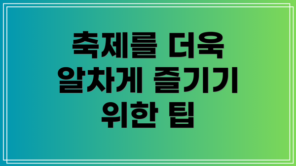축제를 더욱 알차게 즐기기 위한 팁