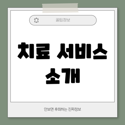 치료 서비스 소개
