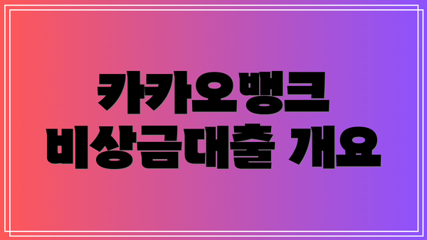 카카오뱅크 비상금대출 개요