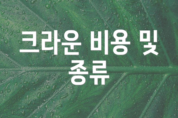 크라운 비용 및 종류