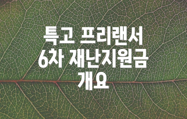 특고 프리랜서 6차 재난지원금 개요