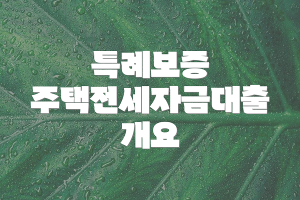특례보증 주택전세자금대출 개요