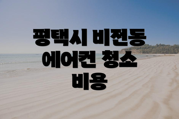 평택시 비전동 에어컨 청소 비용