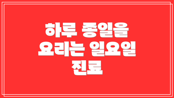 하루 종일을 요리는 일요일 진료