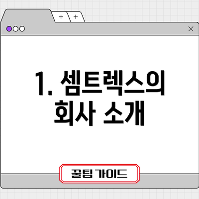 1. 셈트렉스의 회사 소개